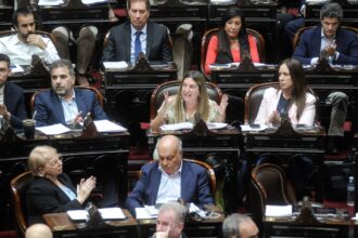 Ficha limpia: un escándalo que desató explicaciones disparatadas en el oficialismo y la oposición