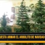 ¿Cuánto cuesta armar el arbolito de navidad?