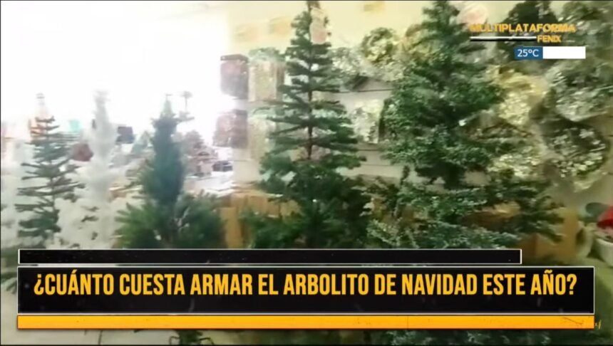 ¿Cuánto cuesta armar el arbolito de navidad?