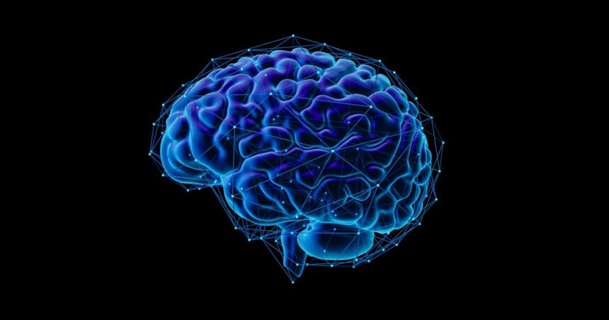 Científicos logran convertir pensamientos en figuras geométricas: la nueva frontera en la representación cerebral