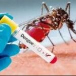 El COE confirma un caso de dengue en la zona oeste de la Capital