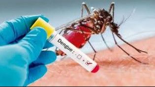 El COE confirma un caso de dengue en la zona oeste de la Capital