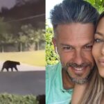 Un oso en la casa de Martín Demichelis: del susto de Evangelina Anderson en un video a las burlas de los mexicanos al DT argentino