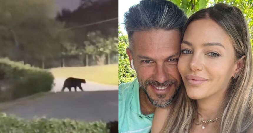 Un oso en la casa de Martín Demichelis: del susto de Evangelina Anderson en un video a las burlas de los mexicanos al DT argentino