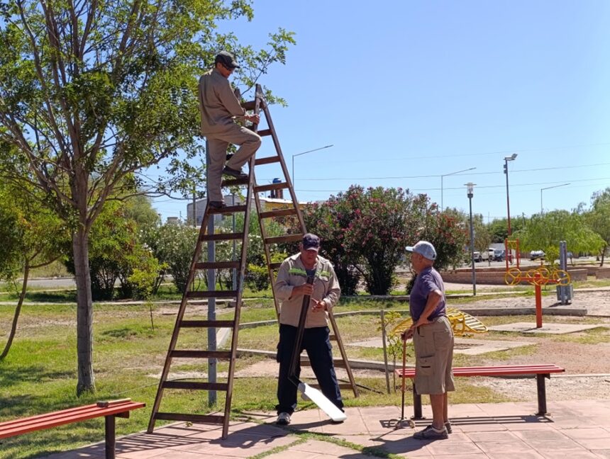 RECAMBIO DE LÁMPARAS LED Y AMPLIACIÓN DE COLUMNAS EN LA PLAZA DE LA SALUD