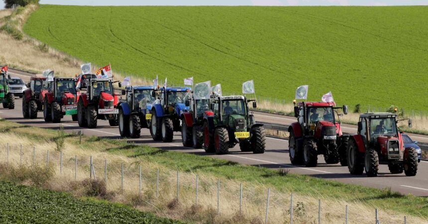 El agro europeo no cumple con la política ambiental