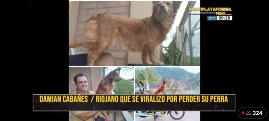 Riojano busca intensamente a su perrita