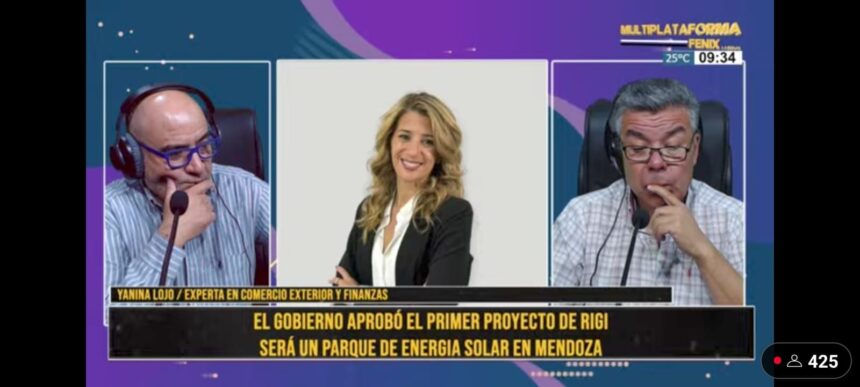 Mendoza aprueba su primer parque solar por medio del RIGI: una apuesta por la energía limpia y el desarrollo económico