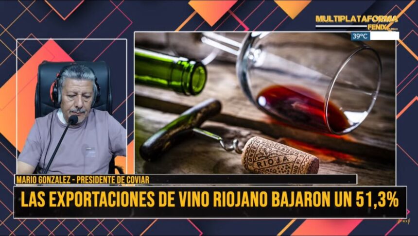 Durante el 2023 la producción de vino riojano cayó un 51,3%