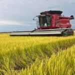 En el primer bimestre creció casi 5 por ciento el valor de las exportaciones agroindustriales